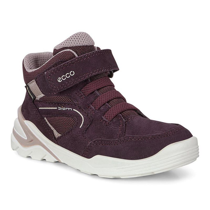 Kids Ecco Biom Vojage - Outdoor Purple - India SRLQIB642